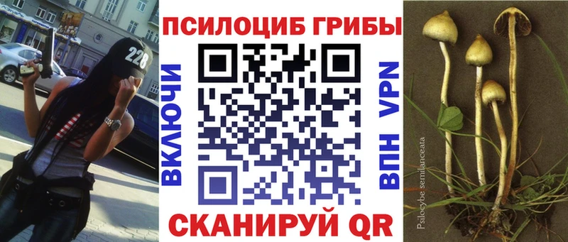 Псилоцибиновые грибы Psilocybe  Лабинск 